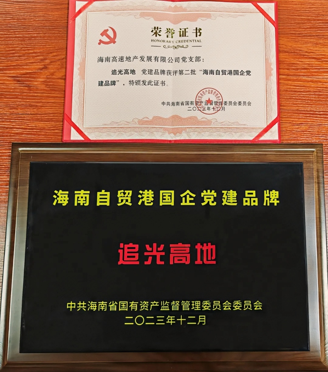 尊龙(中国)官方网站地产公司党支部“追光高地”获评第二批海南自贸港国企党建品牌